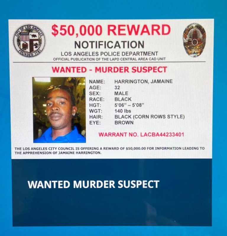 thumbnail 10 768x799