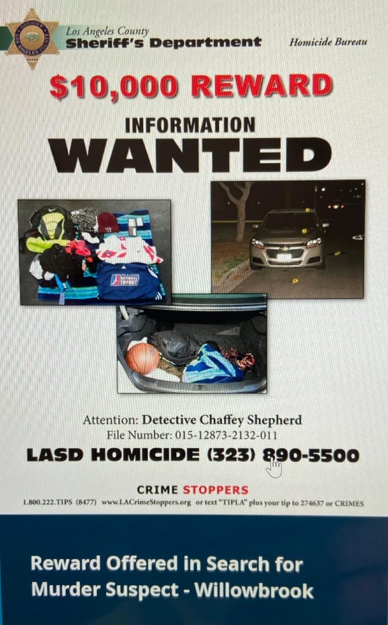 thumbnail 3 768x1237