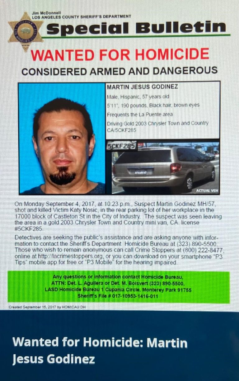 thumbnail 5 768x1224