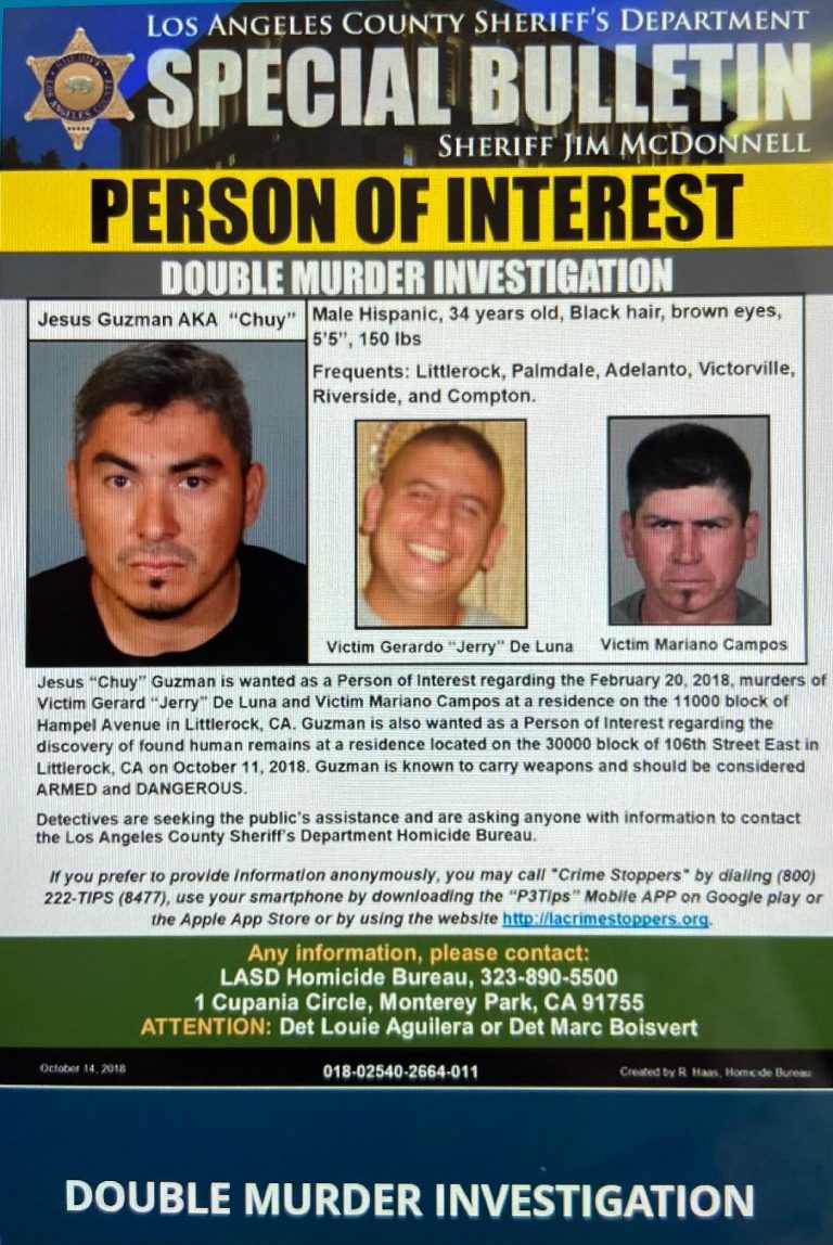 thumbnailo 1 768x1148